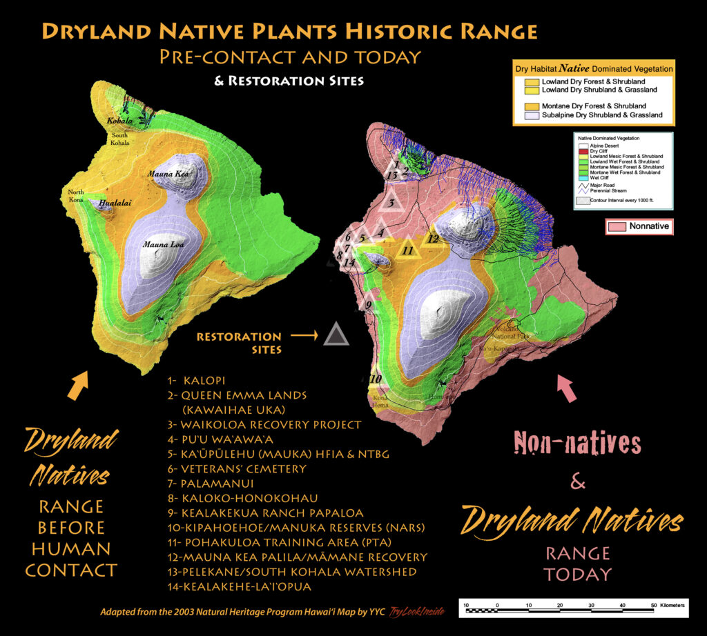 Dryland Native Plants 
